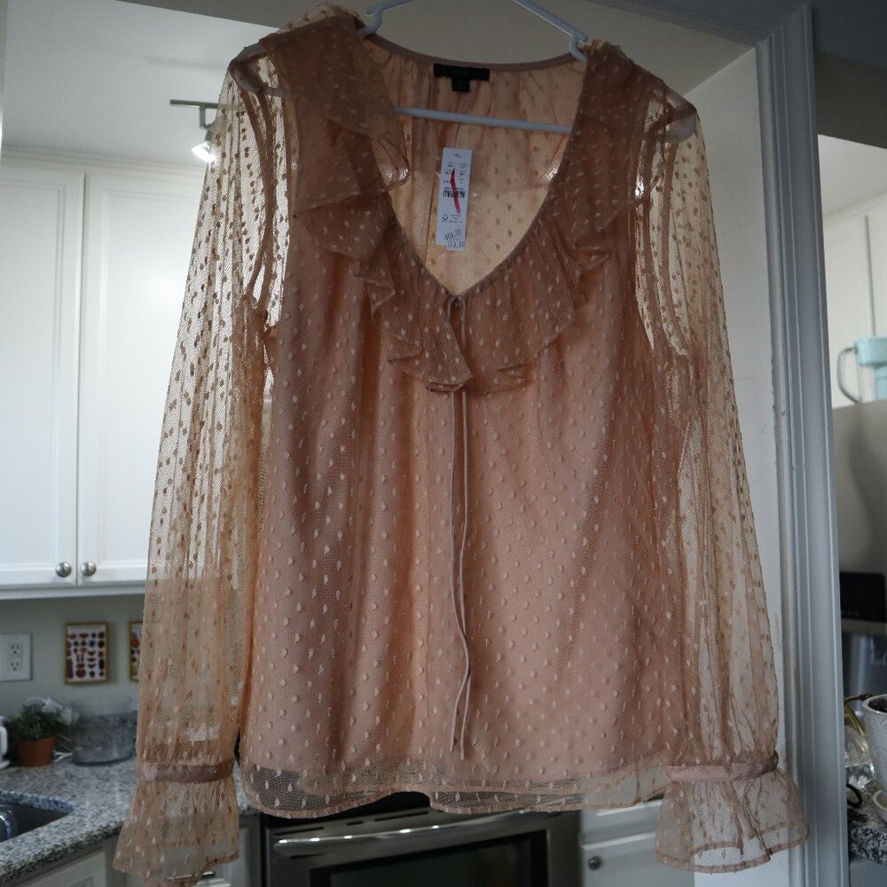 J.Crew nude ruffled blouse with sheer sleeves